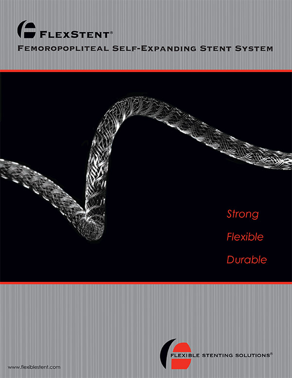 Flexible Stenting Solutions brochure