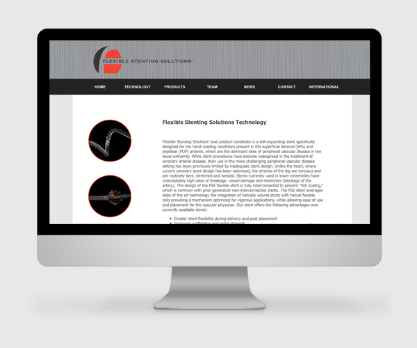 Flexible Stenting Solutions website